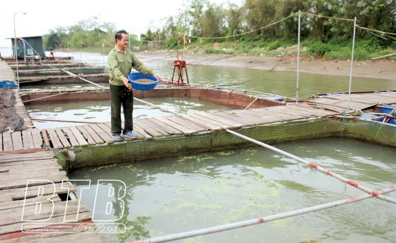 Thái Bình Đến khổ cá to nằm đầy ao trông ngóng mãi mà bóng dáng thương lái vẫn biệt tăm