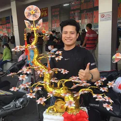 Cây Tài Lộc Hoa Phật