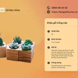 Chậu Gỗ Hình Vuông Trồng Cây