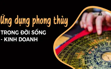 Tiết Lộ Tất Tần Tật Về Khoa Học Phong Thủy Ứng Dụng Dành Cho Doanh Nhân Trường PTI