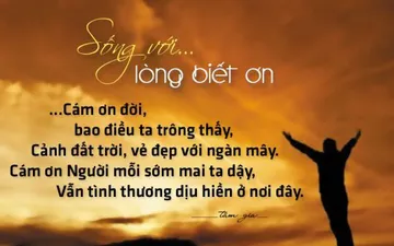 Top hơn 268 mẫu câu nói hay về lòng biết ơn