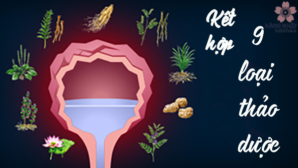 Viên Uống Giảm Tiểu Đêm Từ Thảo Dược Seishinrenshi-in Kobayashi Viên Uống Giảm Tiểu Đêm Từ Thảo Dược Seishinrenshi-in Kobayashi