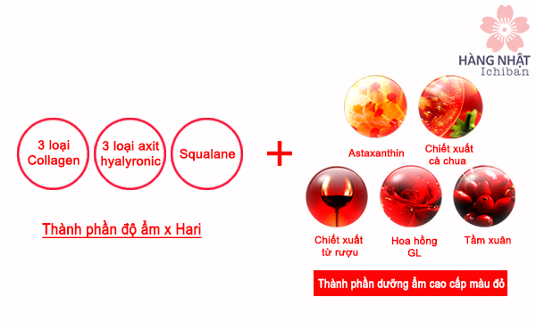 Kem trang điểm chống nắng Grace One dành cho phụ nữ từ tuổi 50 Kem trang điểm chống nắng Grace One dành cho phụ nữ từ tuổi 50