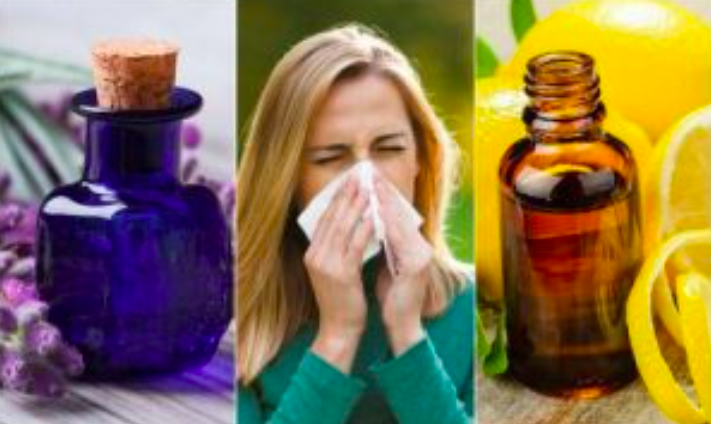 6 Loại Tinh Dầu Có Thể Làm Giảm Triệu Chứng Dị Ứng 6 Loại Tinh Dầu Có Thể Làm Giảm Triệu Chứng Dị Ứng