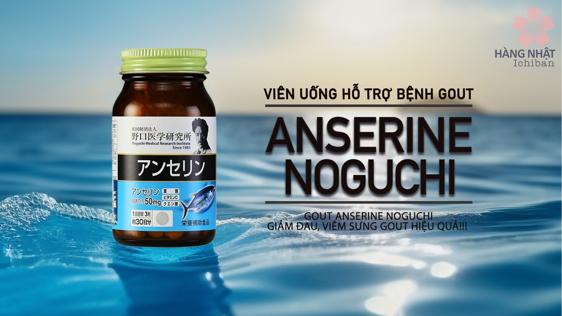 Viên uống Gout Anserine Noguchi - Giúp giảm triệu chứng và ngăn ngừa Gout Viên uống Gout Anserine Noguchi - Giúp giảm triệu chứng và ngăn ngừa Gout