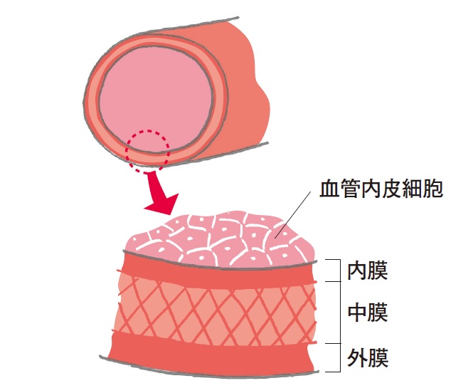 Giữ Cho Mạch Máu Của Bạn Luôn Linh Hoạt Và Khỏe Mạnh! 7 Thói Quen Cần Thiết Là Gì? Giữ Cho Mạch Máu Của Bạn Luôn Linh Hoạt Và Khỏe Mạnh! 7 Thói Quen Cần Thiết Là Gì?