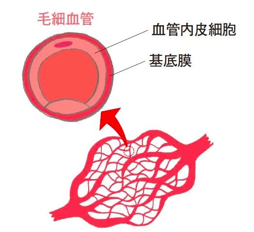 7 Thói Quen Giúp Phòng Ngừa Tắc Nghẽn Mạch Máu 7 Thói Quen Giúp Phòng Ngừa Tắc Nghẽn Mạch Máu