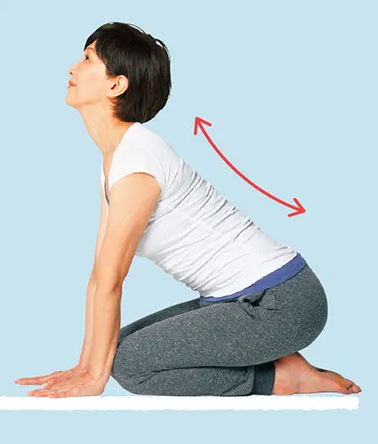 Bài Tập Giãn Cơ Bạch Huyết Cho Buổi Tối Để Thư Giãn Cải Thiện Giấc Ngủ Bài Tập Giãn Cơ Bạch Huyết Cho Buổi Tối Để Thư Giãn Cải Thiện Giấc Ngủ