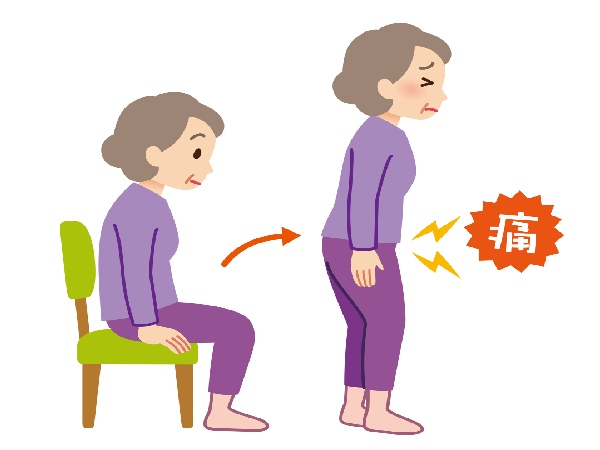 Thoái Hóa Khớp Háng: Nguyên Nhân Phổ Biến Gây Đau Hông Ở Phụ Nữ Độ Tuổi 50 Thoái Hóa Khớp Háng: Nguyên Nhân Phổ Biến Gây Đau Hông Ở Phụ Nữ Độ Tuổi 50