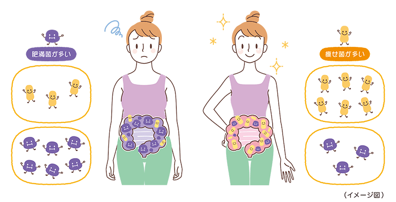 Bí mật của Ruột: Chìa khóa cho Làn Da Đẹp, Hệ Miễn Dịch Mạnh Mẽ, Chế Độ Ăn Uống Lành Mạnh và Sức Khỏe Tinh Thần Bí mật của Ruột: Chìa khóa cho Làn Da Đẹp, Hệ Miễn Dịch Mạnh Mẽ, Chế Độ Ăn Uống Lành Mạnh và Sức Khỏe Tinh Thần