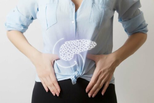 Các Loại Trái Cây Hỗ Trợ Và Bảo Vệ Tuyến Tụy Các Loại Trái Cây Hỗ Trợ Và Bảo Vệ Tuyến Tụy