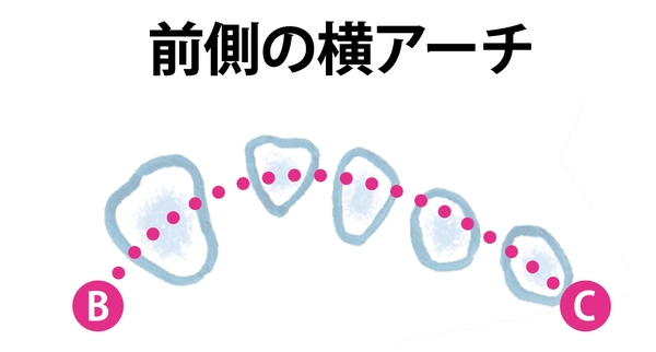 Nguyên Nhân Gây Ra Các Vấn Đề Về Chân Ở Phụ Nữ Là Gì? Nguyên Nhân Gây Ra Các Vấn Đề Về Chân Ở Phụ Nữ Là Gì?