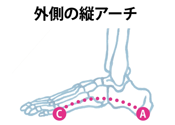 Nguyên Nhân Gây Ra Các Vấn Đề Về Chân Ở Phụ Nữ Là Gì? Nguyên Nhân Gây Ra Các Vấn Đề Về Chân Ở Phụ Nữ Là Gì?