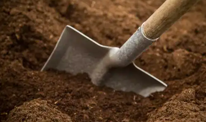 Cách Làm Vườn Thảo Mộc Cách Làm Vườn Thảo Mộc