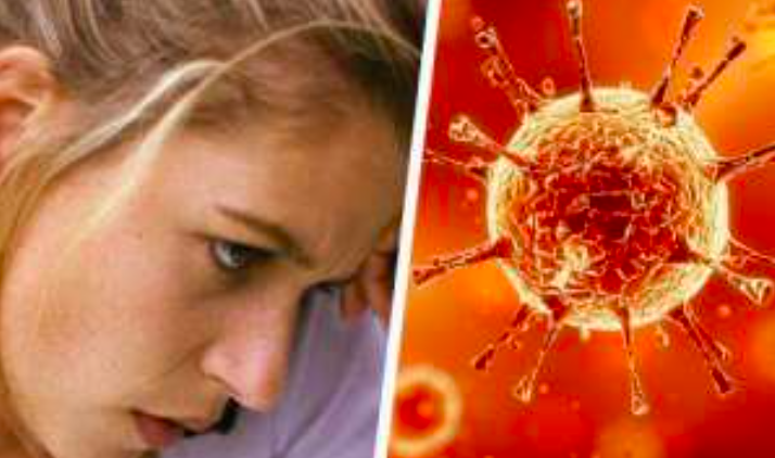 Cách Tăng Cường Khả Năng Miễn Dịch Của Cơ Thể Một Cách Tự Nhiên Cách Tăng Cường Khả Năng Miễn Dịch Của Cơ Thể Một Cách Tự Nhiên