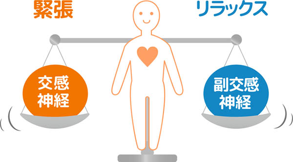 Bạn Có Thể Cải Thiện Cuộc Sống Của Mình Bằng Cách Điều Chỉnh Hệ Thần Kinh Tự Chủ Bạn Có Thể Cải Thiện Cuộc Sống Của Mình Bằng Cách Điều Chỉnh Hệ Thần Kinh Tự Chủ