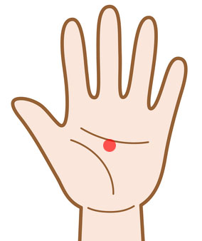 Bạn Có Thể Cải Thiện Cuộc Sống Của Mình Bằng Cách Điều Chỉnh Hệ Thần Kinh Tự Chủ Bạn Có Thể Cải Thiện Cuộc Sống Của Mình Bằng Cách Điều Chỉnh Hệ Thần Kinh Tự Chủ