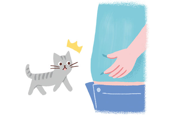 Cải Thiện Quá Trình Trao Đổi Chất Và Giảm Cảm Giác Đầy Bụng Cải Thiện Quá Trình Trao Đổi Chất Và Giảm Cảm Giác Đầy Bụng