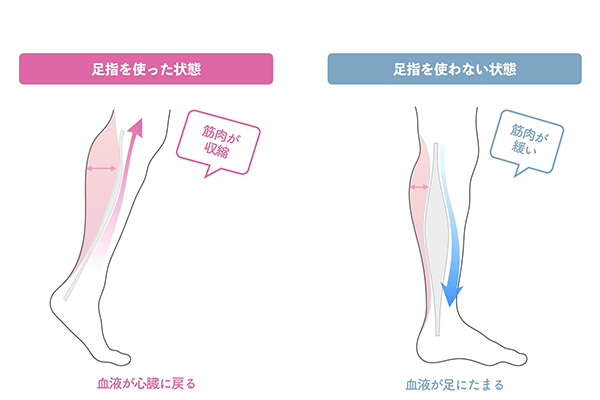 Cải Thiện Sức Khỏe Bàn Chân Qua Cách Đi Bộ! Sải Bước Ngắn Là Gì? Cải Thiện Sức Khỏe Bàn Chân Qua Cách Đi Bộ! Sải Bước Ngắn Là Gì?