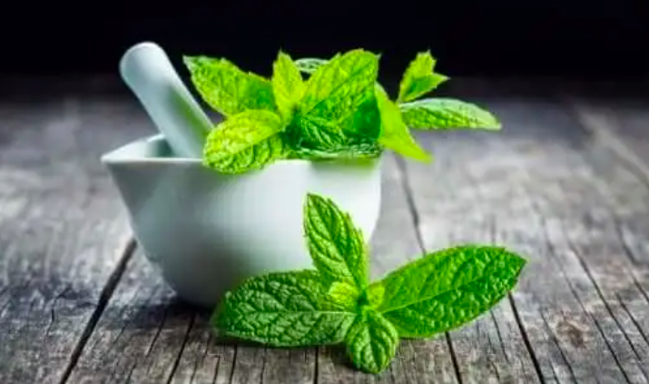 Cây thuốc chữa đau dạ dày Cây thuốc chữa đau dạ dày