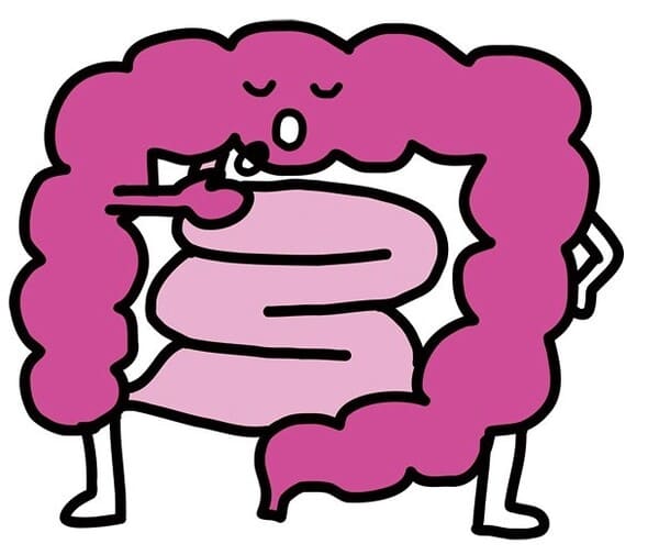 Chấm Dứt Tình Trạng Táo Bón Với Thói Quen Tiêu Hóa Mới! Chấm Dứt Tình Trạng Táo Bón Với Thói Quen Tiêu Hóa Mới!