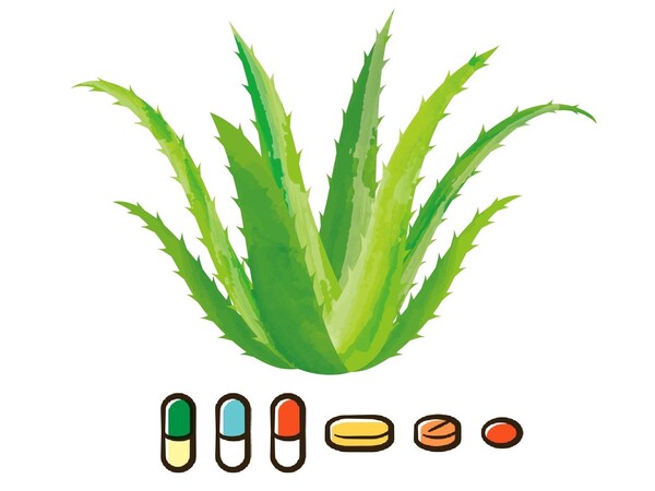 Chấm Dứt Tình Trạng Táo Bón Với Thói Quen Tiêu Hóa Mới! Chấm Dứt Tình Trạng Táo Bón Với Thói Quen Tiêu Hóa Mới!