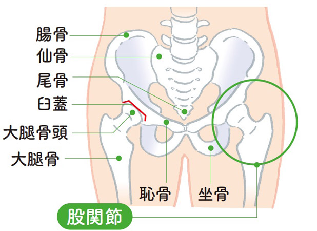 Kiểm Tra Khớp Hông Yếu! Chăm Sóc Đau Đầu Gối, Hông Và Vùng Xương Chậu Kiểm Tra Khớp Hông Yếu! Chăm Sóc Đau Đầu Gối, Hông Và Vùng Xương Chậu