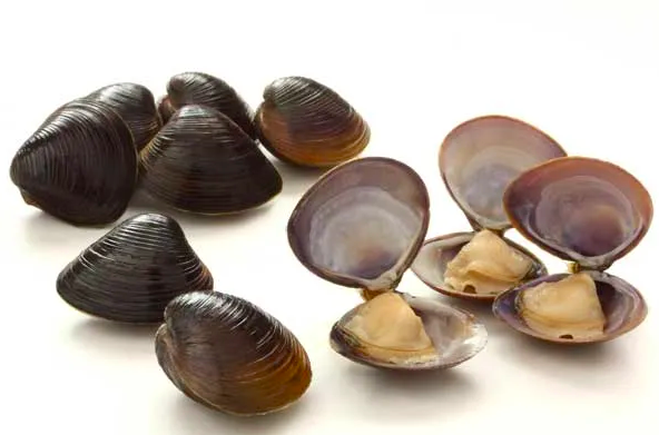 Chăm Sóc Gan Cho Người Trên 50: Uống Rượu Bia Hợp Lý Dịp Cuối Năm Chăm Sóc Gan Cho Người Trên 50: Uống Rượu Bia Hợp Lý Dịp Cuối Năm