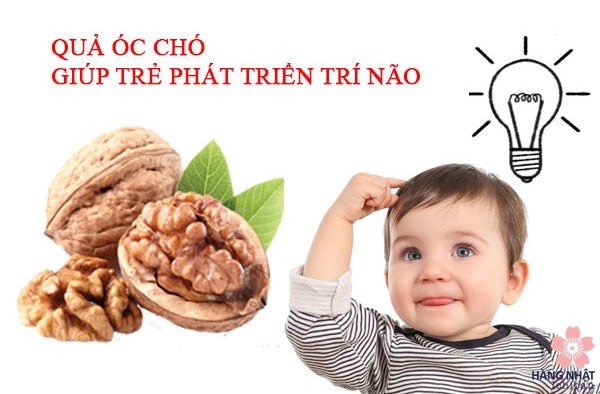 thức ăn bổ não thức ăn bổ não