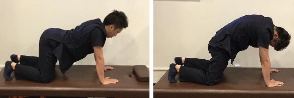 Cứng Lưng Có Thể Gây Khó Thở! Từ Nguyên Nhân Đến Biện Pháp Phòng Ngừa! Cứng Lưng Có Thể Gây Khó Thở! Từ Nguyên Nhân Đến Biện Pháp Phòng Ngừa!