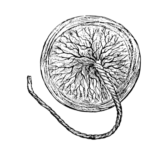 Da Đẹp Nhờ Nhau Thai? Tác Dụng Của Nó Và Phương Pháp Sử Dụng Được Khuyến Nghị Là Gì? Da Đẹp Nhờ Nhau Thai? Tác Dụng Của Nó Và Phương Pháp Sử Dụng Được Khuyến Nghị Là Gì?