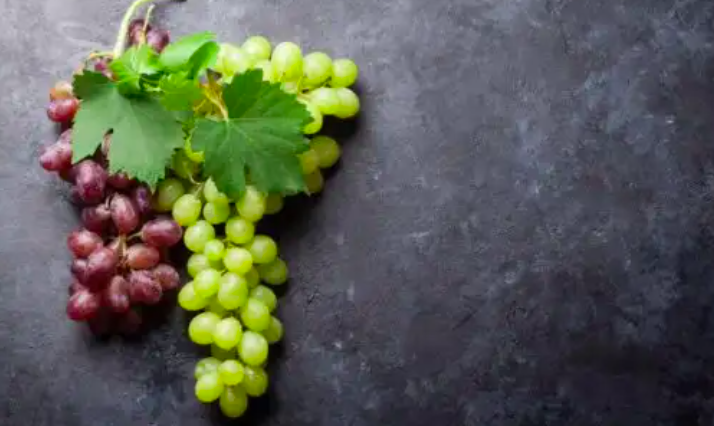 Đặc Điểm Của Chất Kháng Dinh Dưỡng Đặc Điểm Của Chất Kháng Dinh Dưỡng