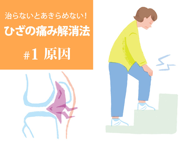 Đau Đầu Gối Trở Nên Nghiêm Trọng Hơn Sau Tuổi 50! Nguyên Nhân Chính Và Cách Khắc Phục Đau Đầu Gối Trở Nên Nghiêm Trọng Hơn Sau Tuổi 50! Nguyên Nhân Chính Và Cách Khắc Phục