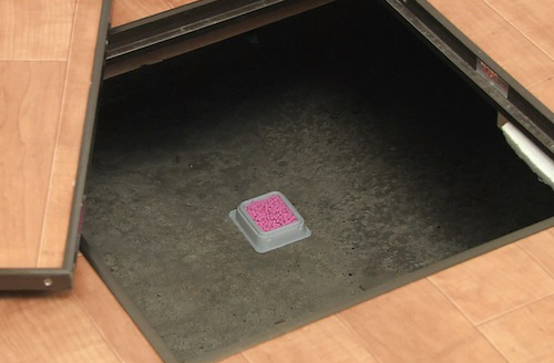 Diệt Chuột Dethmor - Hiệu Quả Cao, An Toàn Cho Mọi Gia Đình Diệt Chuột Dethmor - Hiệu Quả Cao, An Toàn Cho Mọi Gia Đình