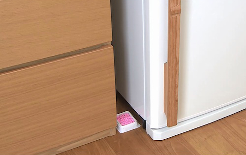 Diệt Chuột Dethmor - Hiệu Quả Cao, An Toàn Cho Mọi Gia Đình Diệt Chuột Dethmor - Hiệu Quả Cao, An Toàn Cho Mọi Gia Đình