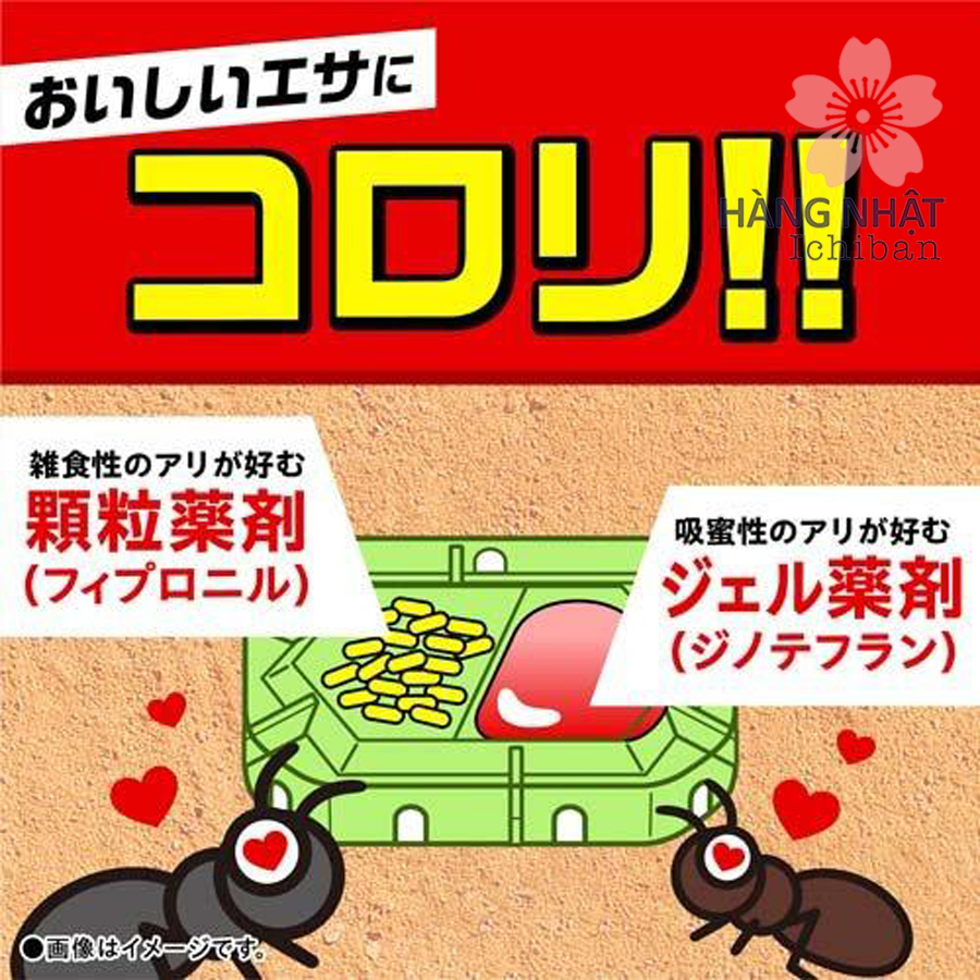 Thuốc Diệt Kiến super Ant Korori - Giải Pháp Diệt Kiến Hiệu Quả và An Toàn Thuốc Diệt Kiến super Ant Korori - Giải Pháp Diệt Kiến Hiệu Quả và An Toàn