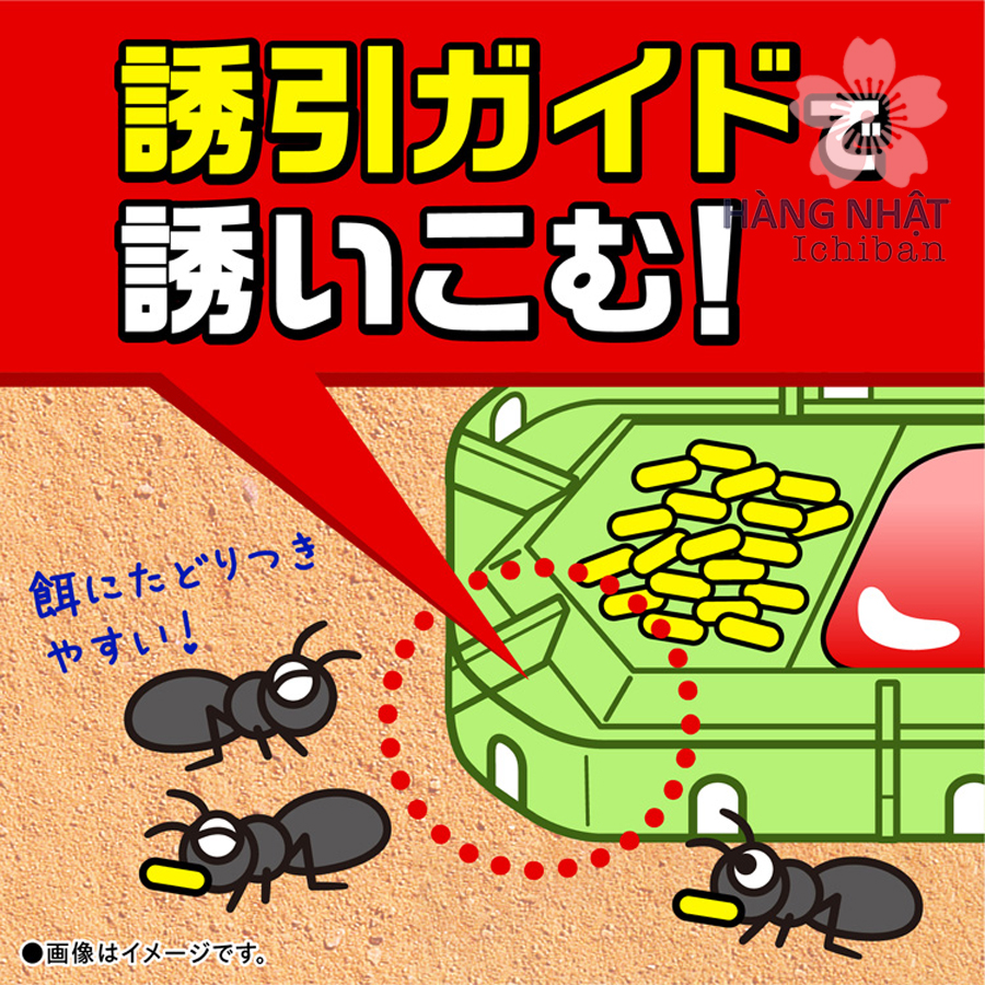 Thuốc Diệt Kiến super Ant Korori - Giải Pháp Diệt Kiến Hiệu Quả và An Toàn Thuốc Diệt Kiến super Ant Korori - Giải Pháp Diệt Kiến Hiệu Quả và An Toàn