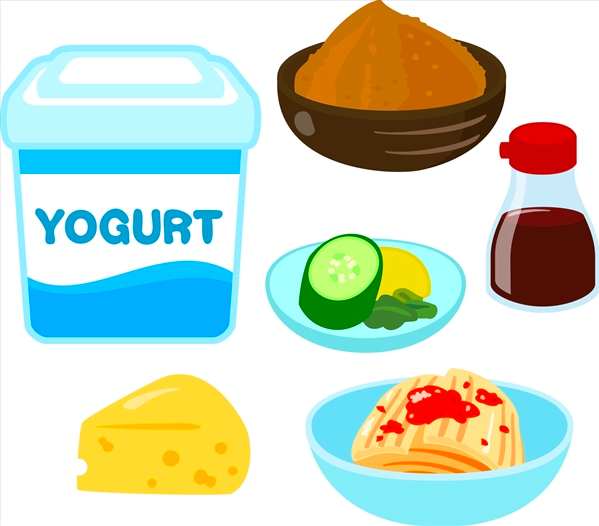 Điều Chỉnh Môi Trường Đường Ruột Với Vi Khuẩn Axit Lactic! Cũng Chú Ý Đến Vi Khuẩn Axit Lactic Mật Ong Điều Chỉnh Môi Trường Đường Ruột Với Vi Khuẩn Axit Lactic! Cũng Chú Ý Đến Vi Khuẩn Axit Lactic Mật Ong