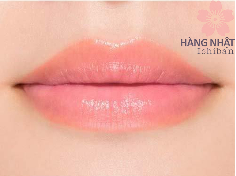 Dưỡng Môi DHC Dense Moist Màu Quả Mơ - Sự Kết Hợp Hoàn Hảo Của Dưỡng Ẩm Và Trang Điểm Dưỡng Môi DHC Dense Moist Màu Quả Mơ - Sự Kết Hợp Hoàn Hảo Của Dưỡng Ẩm Và Trang Điểm