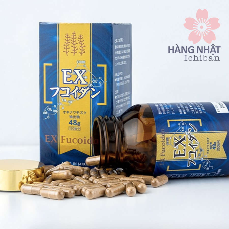 Ex Fucoidan Giải Pháp Tự Nhiên Hỗ Trợ Điều Trị Và Phòng Ngừa Ung Thư Ex Fucoidan Giải Pháp Tự Nhiên Hỗ Trợ Điều Trị Và Phòng Ngừa Ung Thư