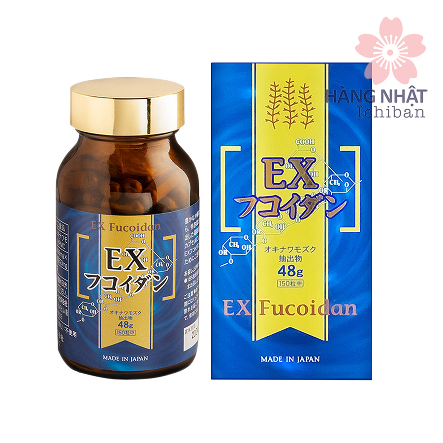 Ex Fucoidan Giải Pháp Tự Nhiên Hỗ Trợ Điều Trị Và Phòng Ngừa Ung Thư Ex Fucoidan Giải Pháp Tự Nhiên Hỗ Trợ Điều Trị Và Phòng Ngừa Ung Thư