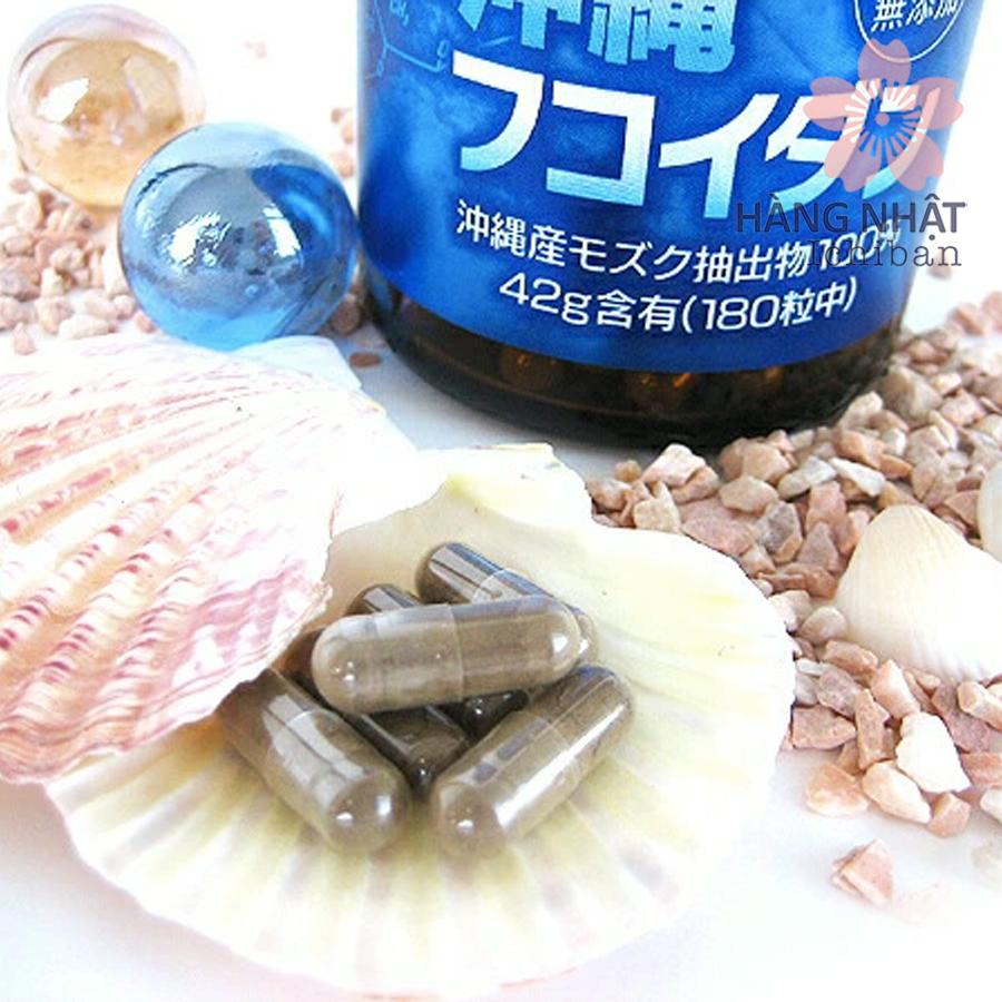 Viên Uống Fucoidan Okinawa - Sức Khỏe Từ Biển Cả Viên Uống Fucoidan Okinawa - Sức Khỏe Từ Biển Cả