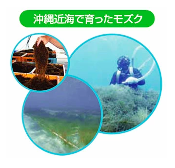 Viên Uống Fucoidan Okinawa - Sức Khỏe Từ Biển Cả Viên Uống Fucoidan Okinawa - Sức Khỏe Từ Biển Cả