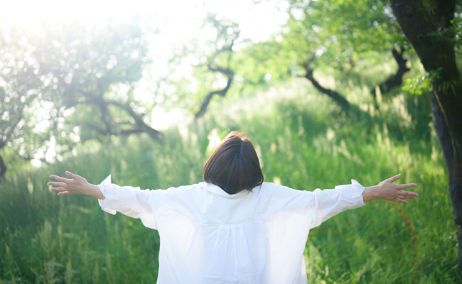 Khám Phá Phương Pháp Mamukai: Giải Pháp Chăm Sóc Sức Khỏe Toàn Diện Khám Phá Phương Pháp Mamukai: Giải Pháp Chăm Sóc Sức Khỏe Toàn Diện