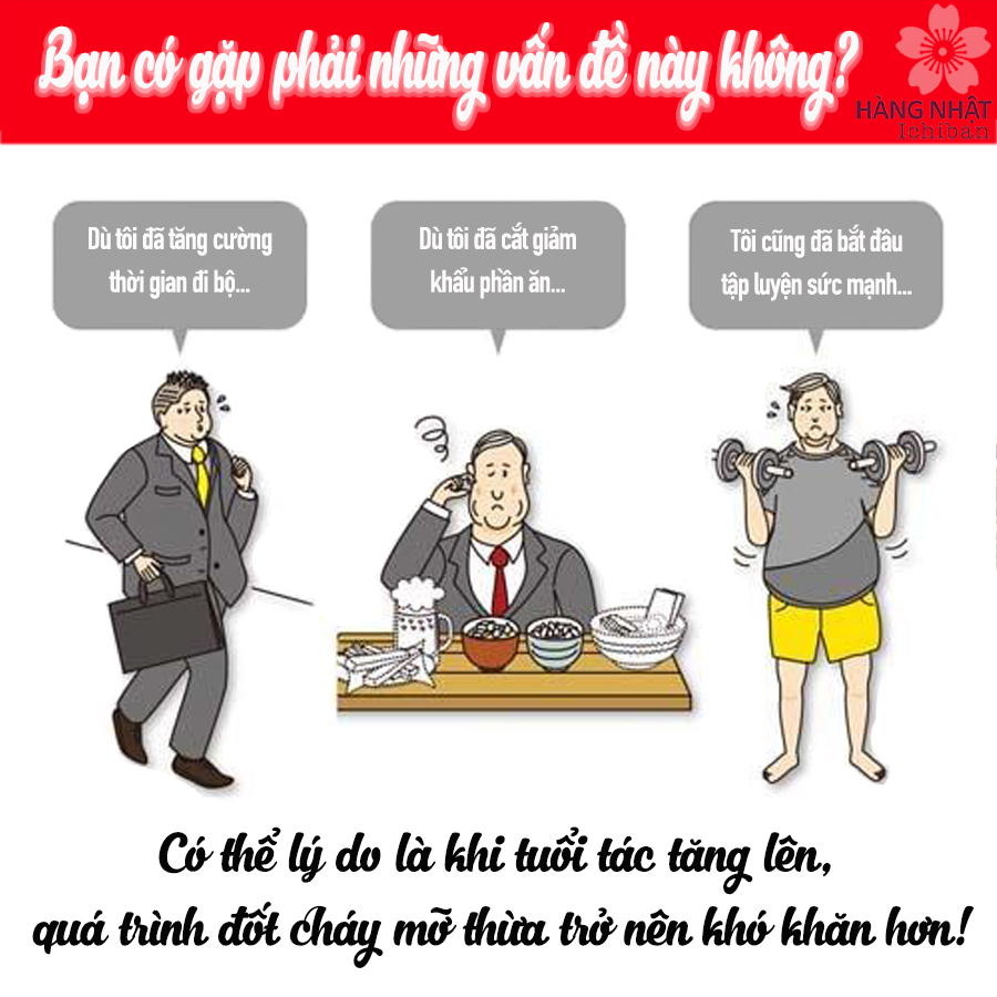 Viên Uống Giảm Mỡ Bụng Kobayashi Naishitoru Z28,000mg Viên Uống Giảm Mỡ Bụng Kobayashi Naishitoru Z28,000mg