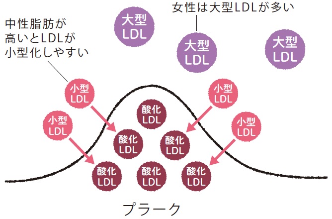 Giảm Cholesterol Ldl Bằng Chế Độ Ăn Uống! 4 Thói Quen Mới Giảm Cholesterol Ldl Bằng Chế Độ Ăn Uống! 4 Thói Quen Mới