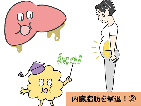 Chỉ Trong 3 Tuần! Làm Thế Nào Để Giảm Mỡ Nội Tạng Với 3 Phương Pháp Đơn Giản? Chỉ Trong 3 Tuần! Làm Thế Nào Để Giảm Mỡ Nội Tạng Với 3 Phương Pháp Đơn Giản?