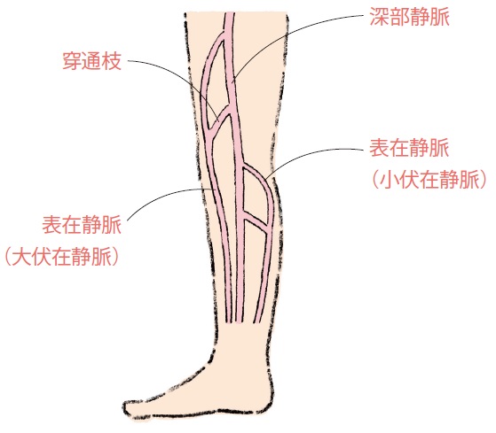 Khoảng 60% Người Trên 50 Tuổi! Ai Dễ Bị Giãn Tĩnh Mạch? Khoảng 60% Người Trên 50 Tuổi! Ai Dễ Bị Giãn Tĩnh Mạch?