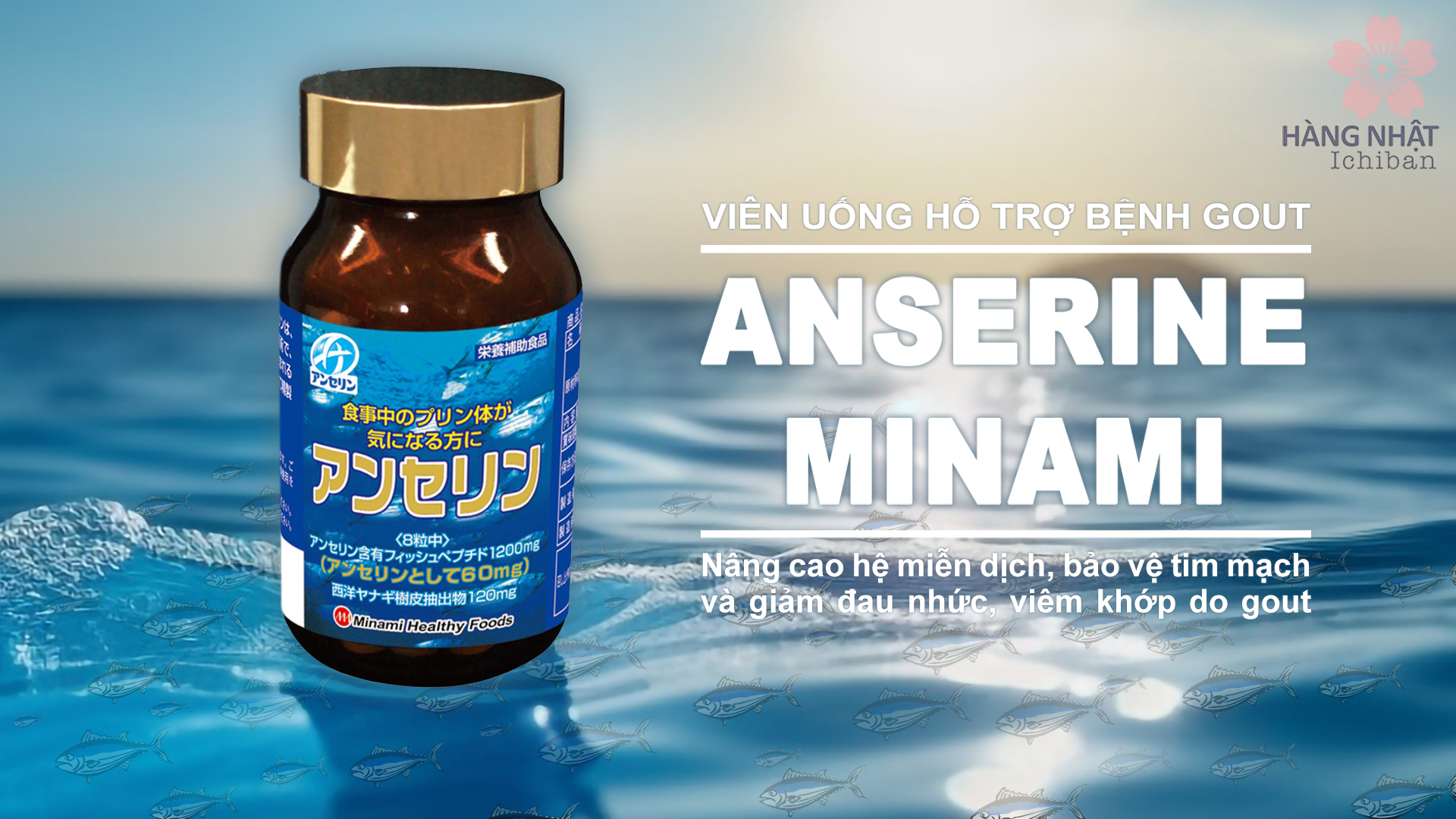 Viên Uống Gout Anserine Minami - Hỗ Trợ Điều Trị Gout Hiệu Quả Viên Uống Gout Anserine Minami - Hỗ Trợ Điều Trị Gout Hiệu Quả