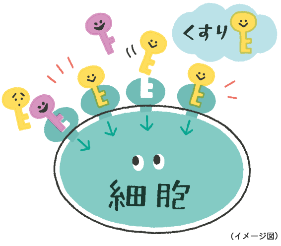 Kiến Thức Y Học: Hành Trình Của Thuốc Trong Cơ Thể Kiến Thức Y Học: Hành Trình Của Thuốc Trong Cơ Thể